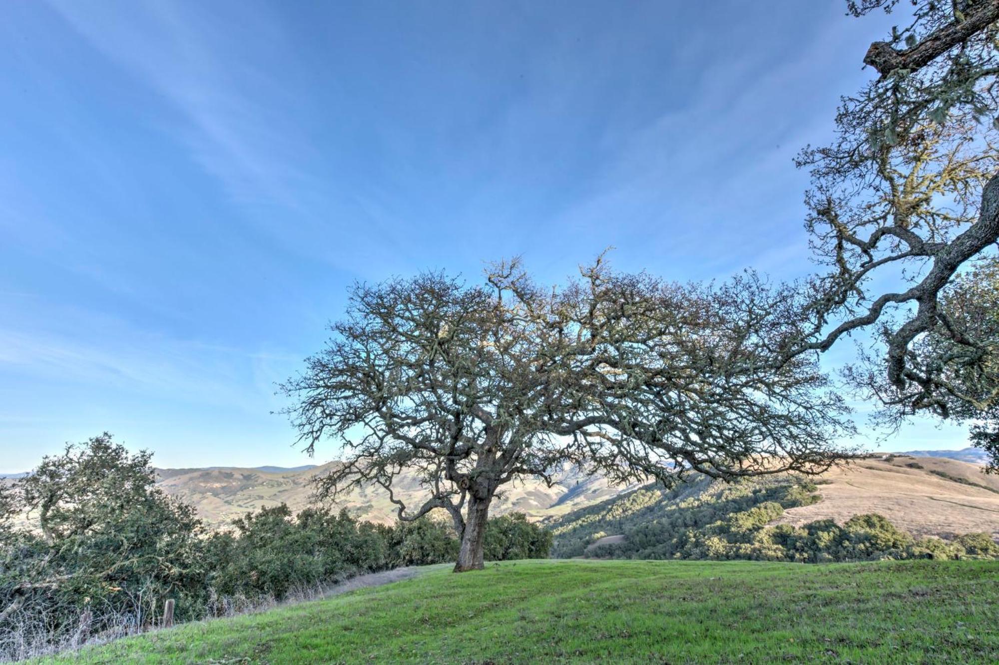 Lx37 Weathertop Ranch In Carmel Wine Country Carmel Valley Esterno foto